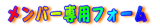 �����o�[��p�t�H�[�� 